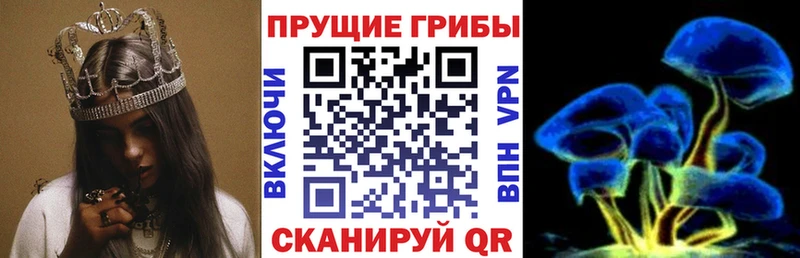 Псилоцибиновые грибы мухоморы  сколько стоит  Сухой Лог 